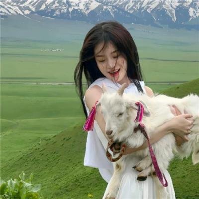小狗吉米走私事件